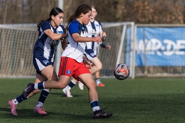 Bild 279 - wBJ Hamburger SV - Hertha BSC : Ergebnis: 2:1